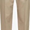 Selected Homme Pantalons Regular Pantalon GIBSON Heren Sand