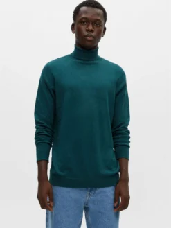 PULL & BEAR Coltruien Trui Heren Smaragd 7 PULL & BEAR Coltruien Trui Heren Smaragd -Colberts Winkel 9dca6107f0f3b5e36d5d59f940b34dd8 scaled